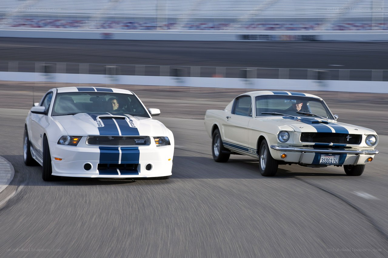 Two Mustangs racing on track