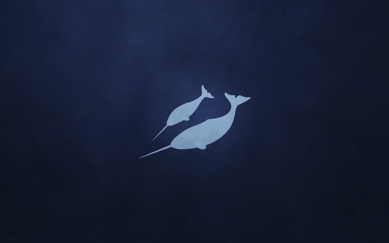 Two narwhals swimming