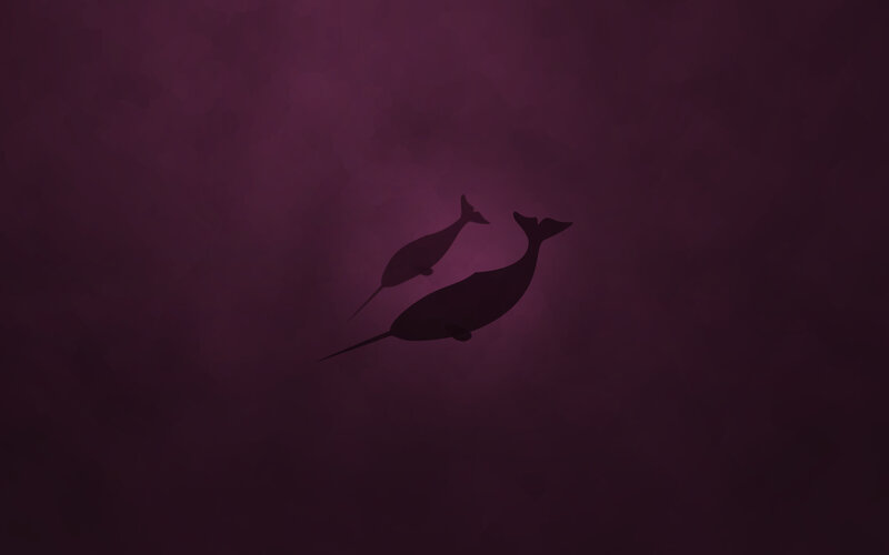 Two narwhals swimming underwater