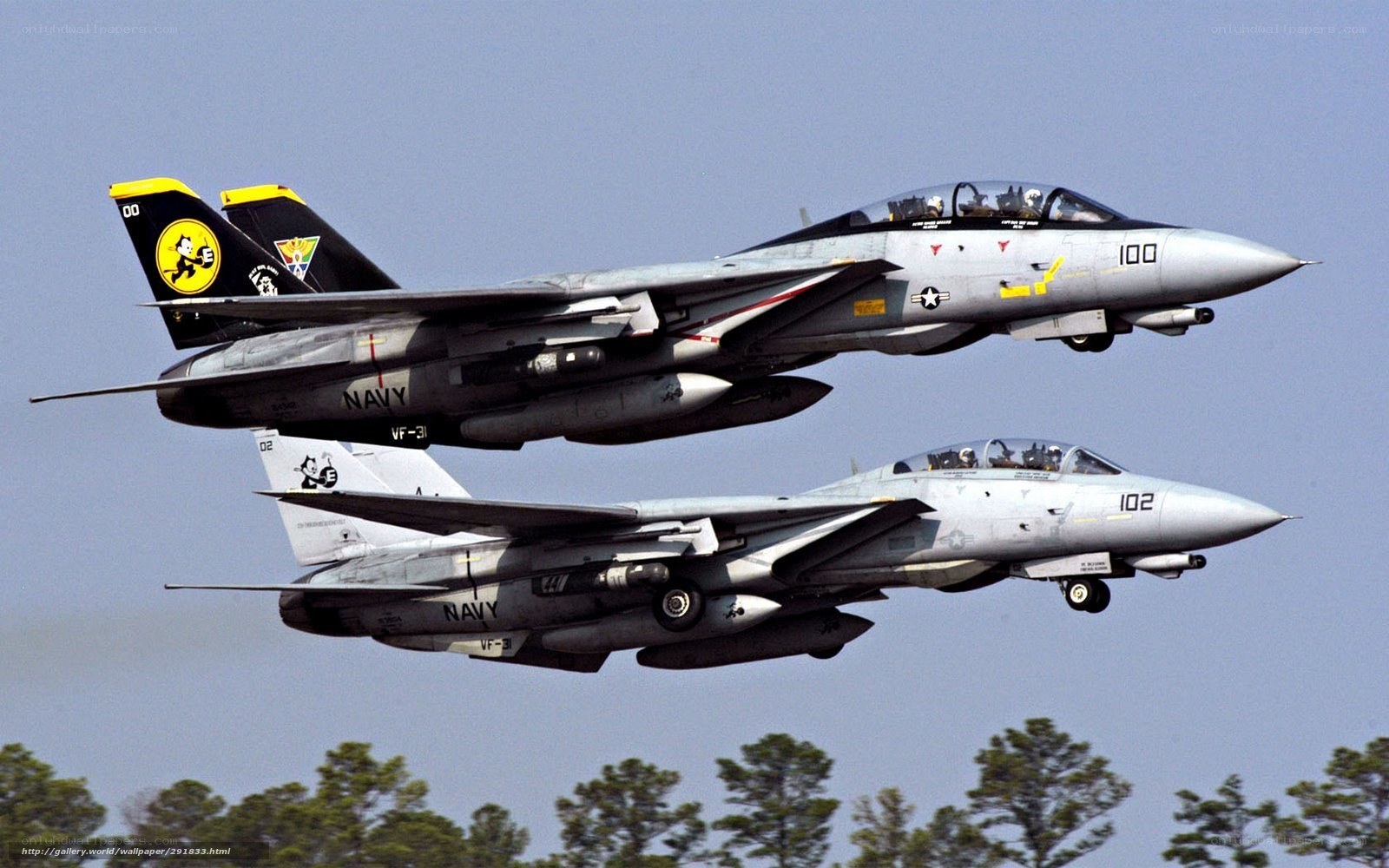 Two Navy fighter jets in flight