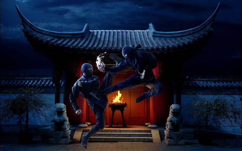 Two Ninjas Fighting