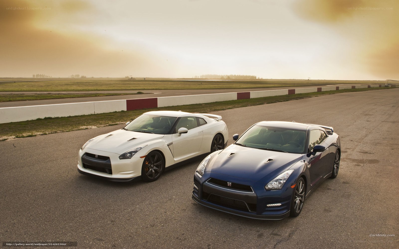 Two Nissan GT-Rs on a racetrack