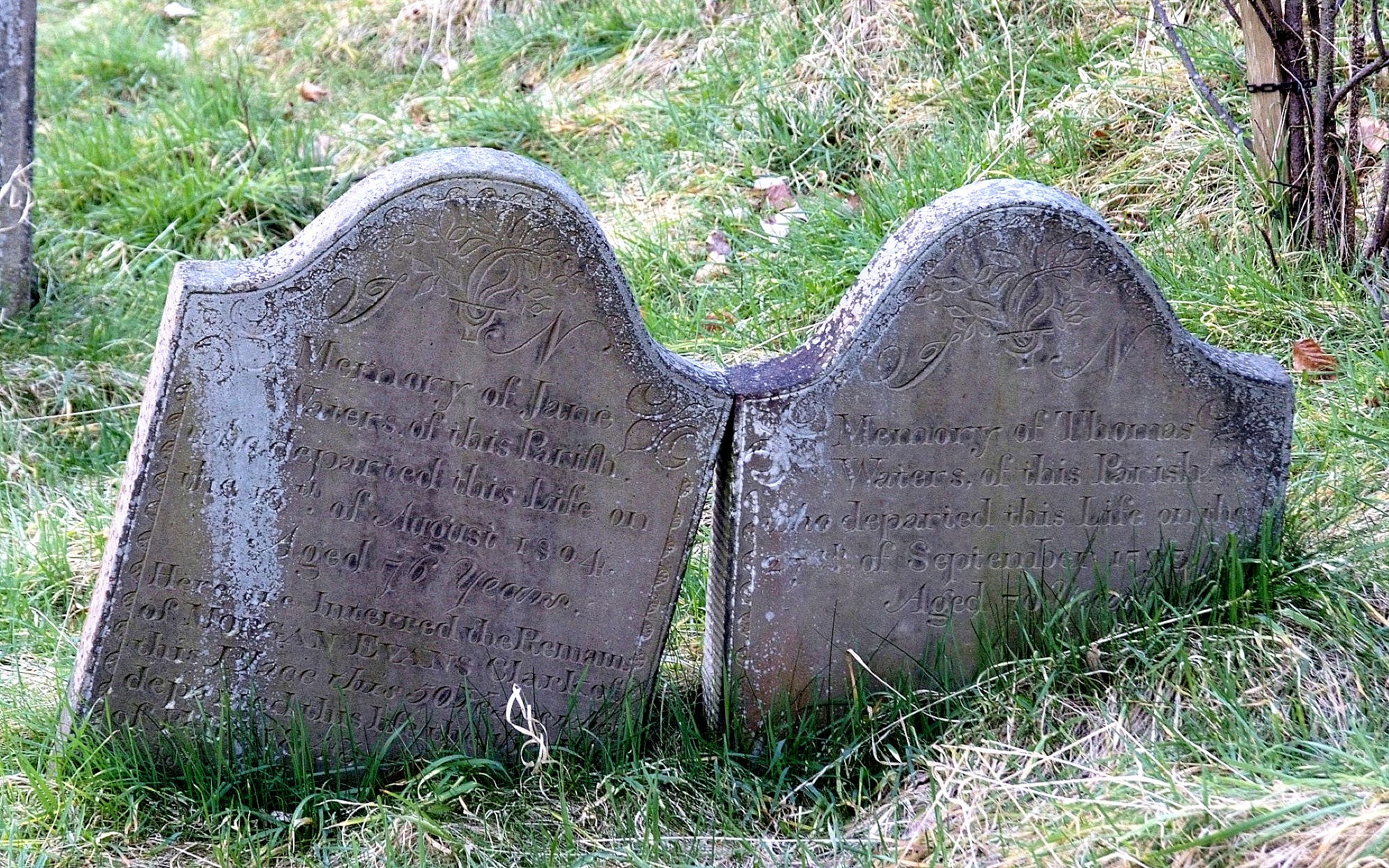 Two old gravestones in a grassy field