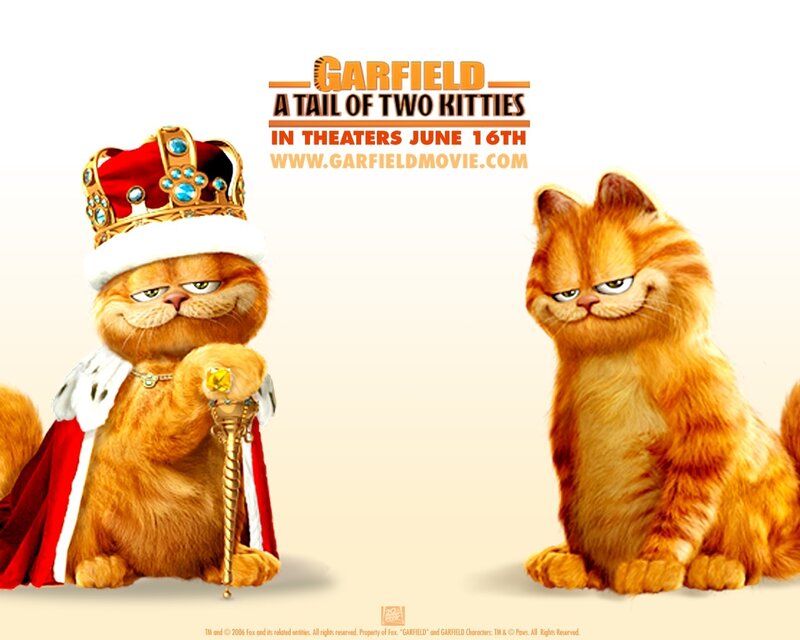 Two Orange Cats — Comical