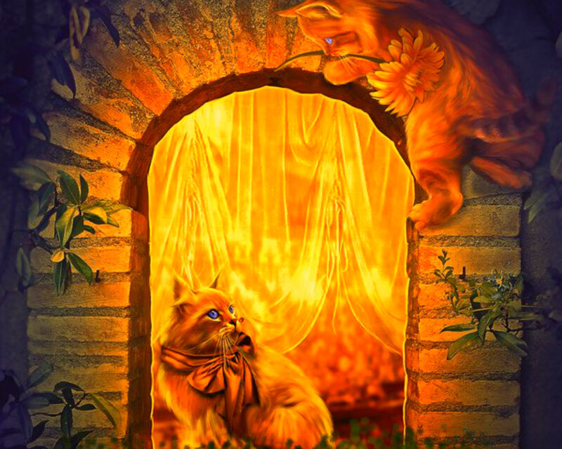 Two Orange Cats in Archway