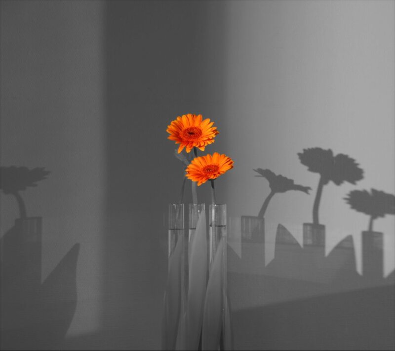 Two Orange Flowers — Minimalist