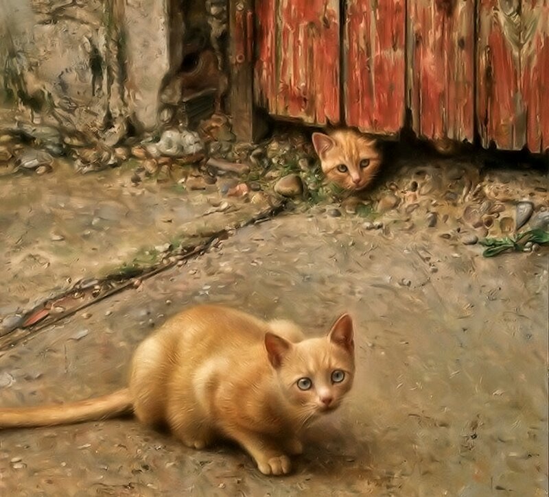 Two Orange Kittens — Curious, Painting