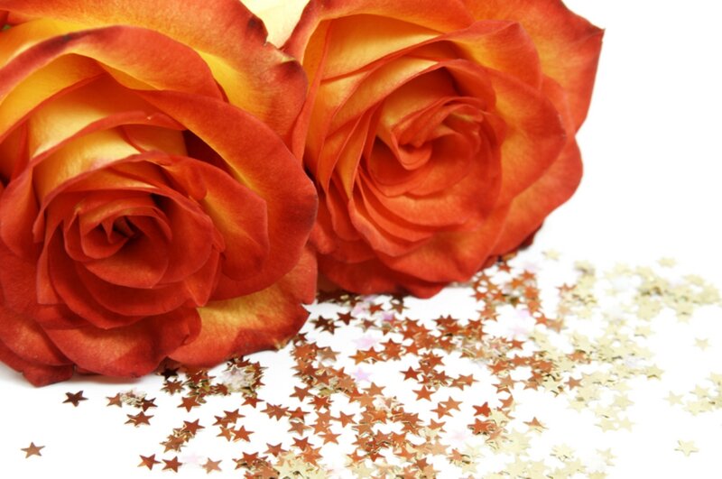 Two Orange Roses — Festive