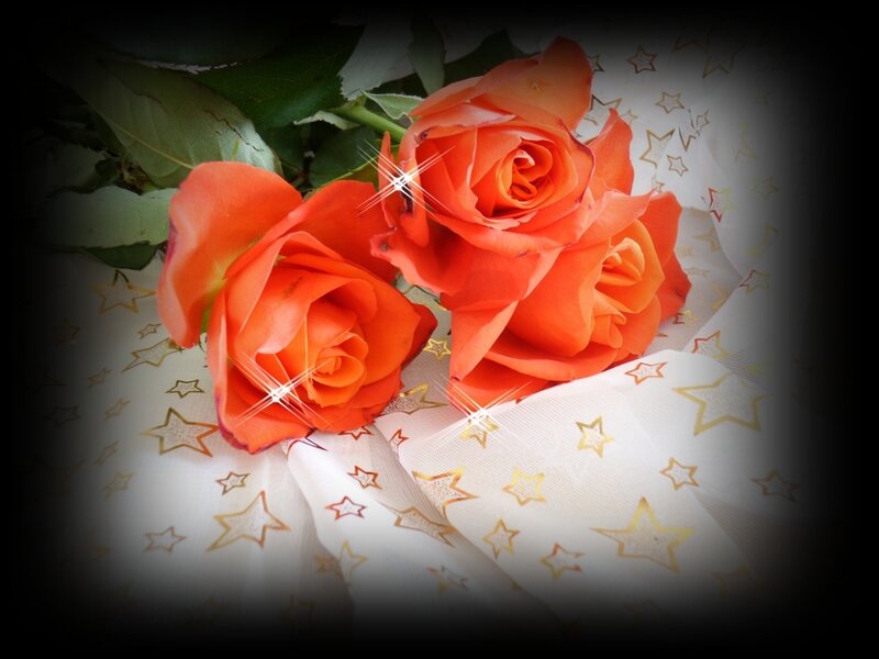Two Orange Roses — Romantic