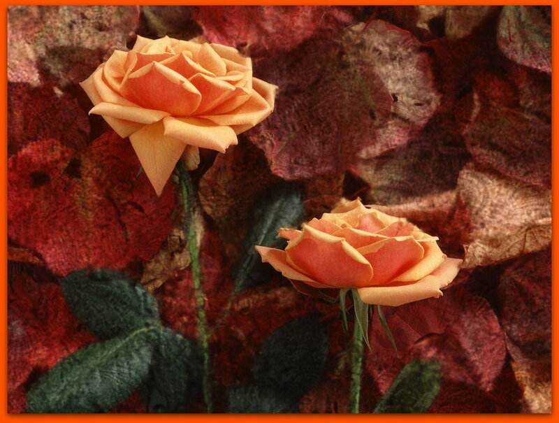Two Orange Roses — Serene, Autumn