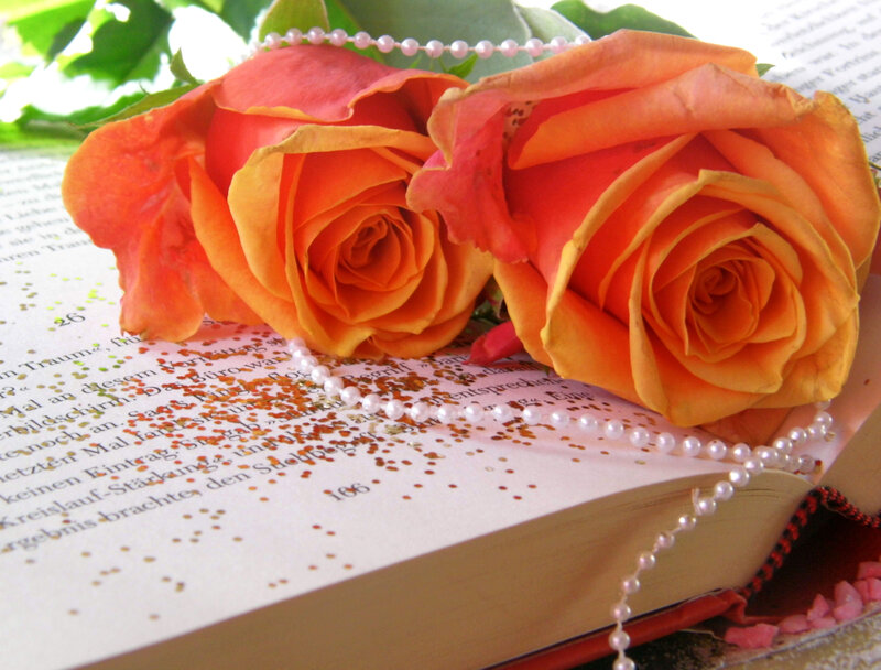 Two Orange Roses — Serene, Photograph