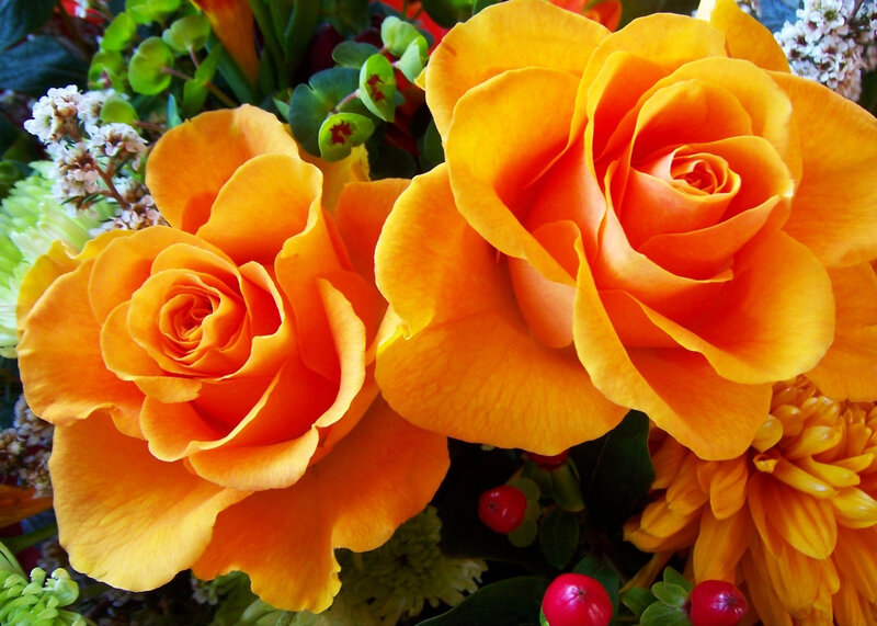 Two Orange Roses — Vibrant