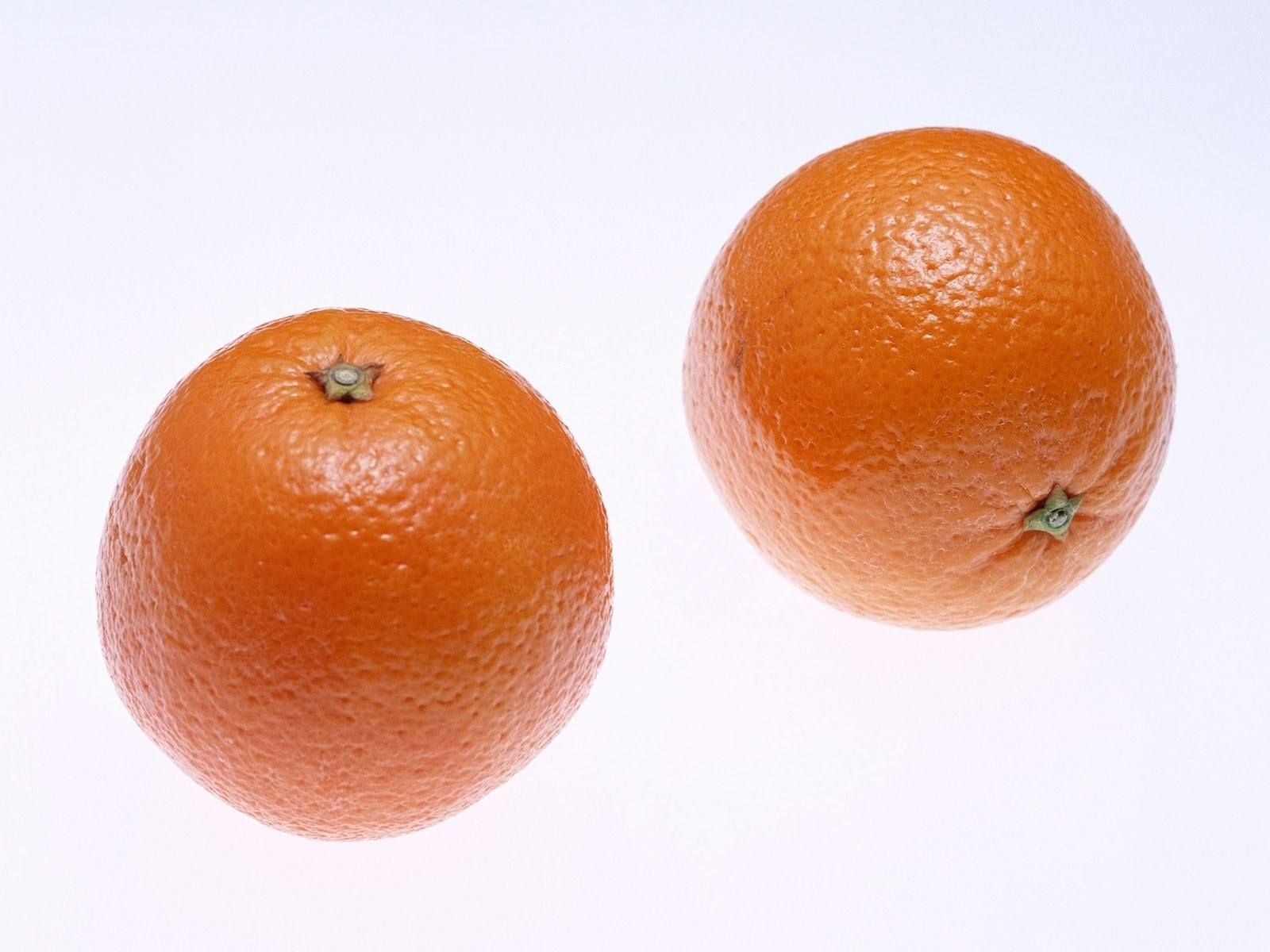 Two oranges on white background