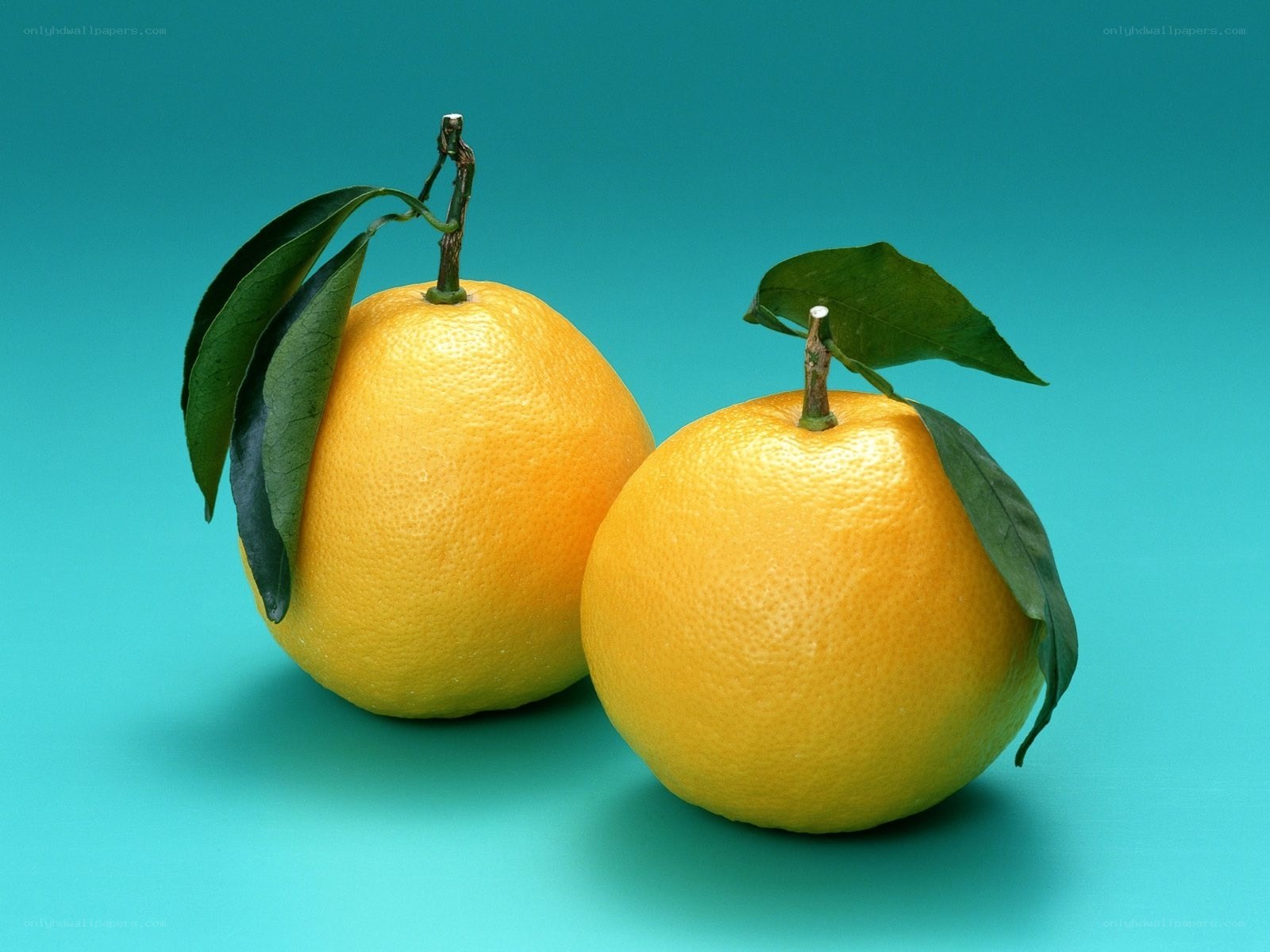 two oranges with leaves