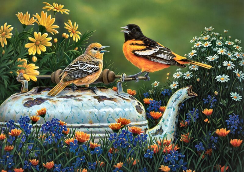 Two Orioles on Teapot