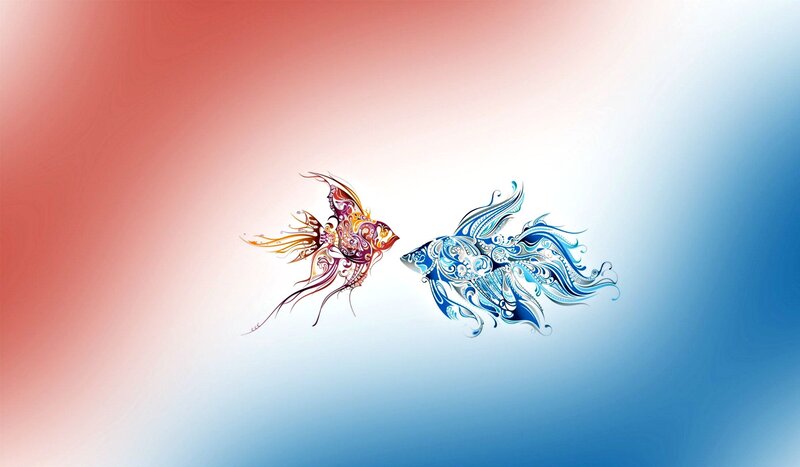 Two Ornate Fish