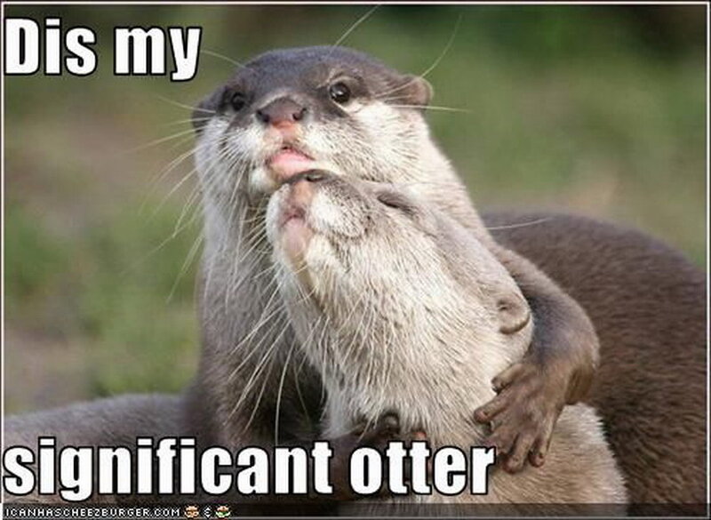Two Otters Hugging