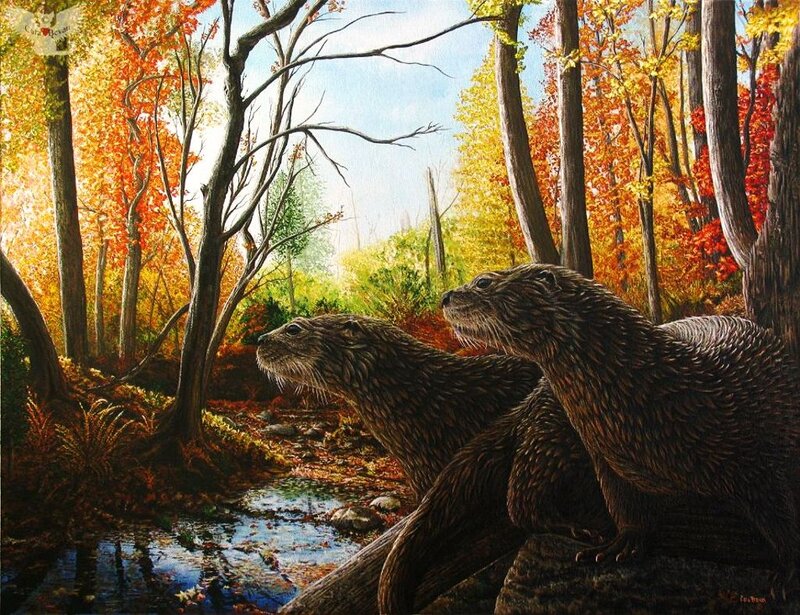 Two Otters in Forest
