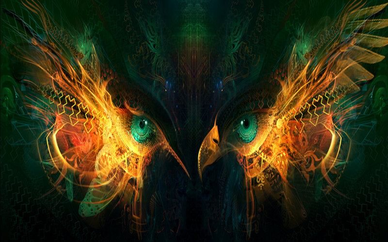 Two Owl Eyes