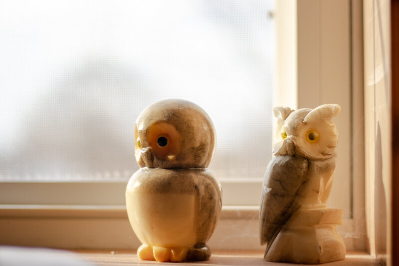 Two Owl Figurines