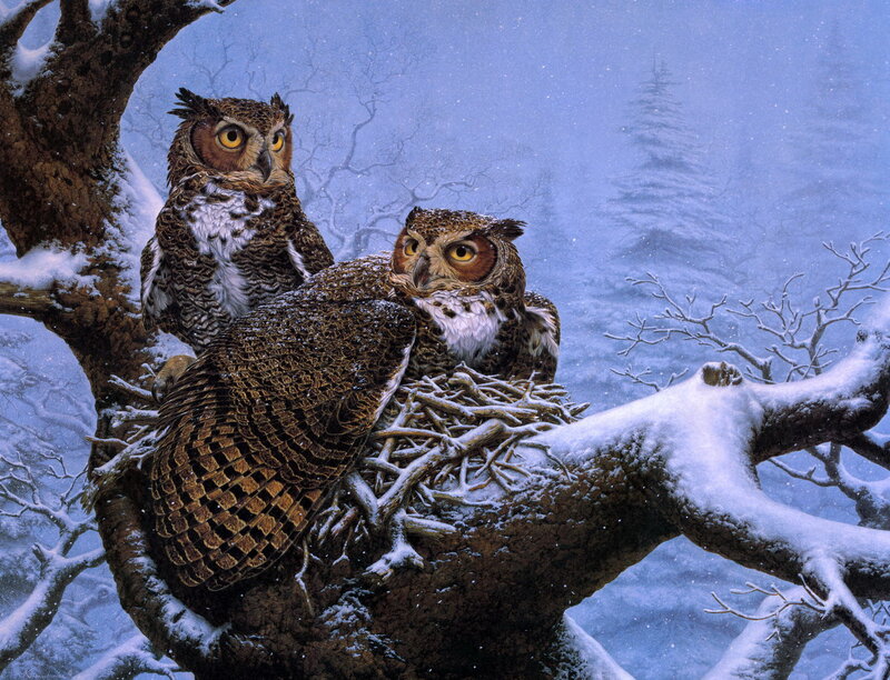 Two Owls in Nest