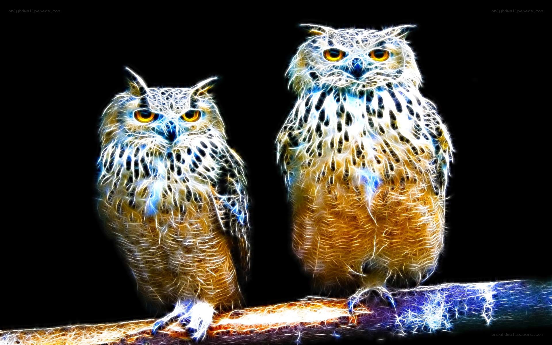 Two owls on a branch
