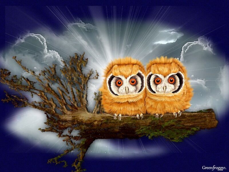 Two Owls on a Branch — Blue, Dramatic