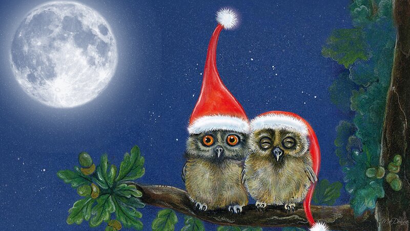 Two Owls on a Branch — Blue, Serene