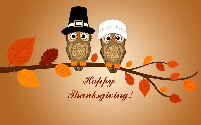 Two Owls on a Branch — Brown, Festive