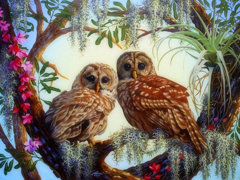 Two Owls on a Branch — Brown, Serene, Spring