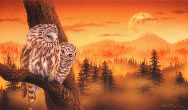 Two Owls on a Branch — Orange, Serene