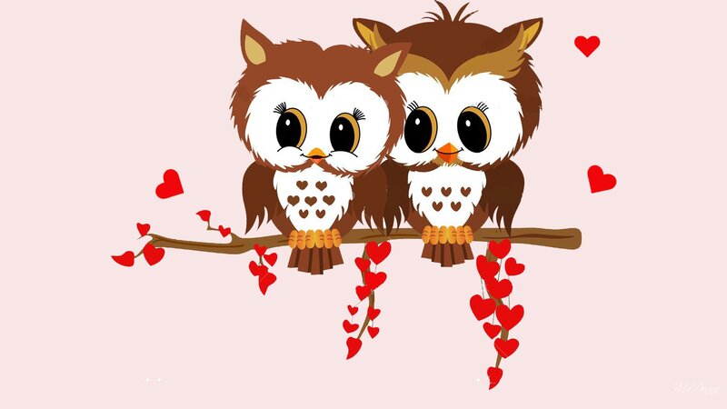 Two Owls on a Branch — Pink