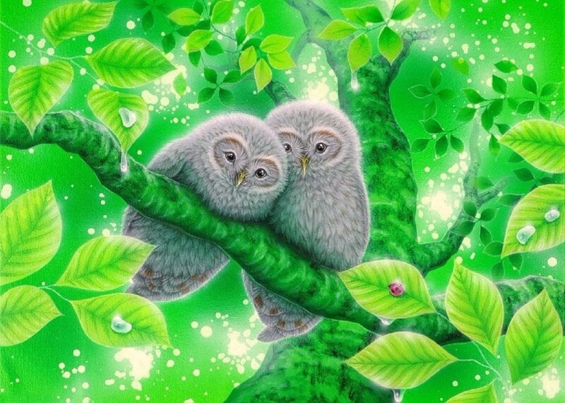 Two Owls on Branch — Green, Serene, Spring