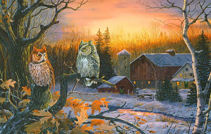 Two Owls on Branches