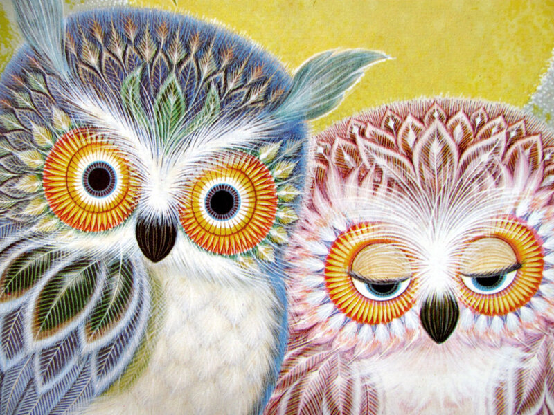 Two Owls with Large Eyes