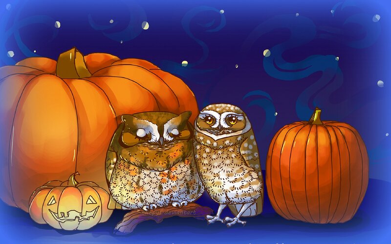 Two Owls with Pumpkins