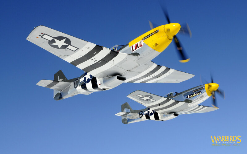 Two P-51 Mustang Planes — Blue, Dynamic, Afternoon, Photograph