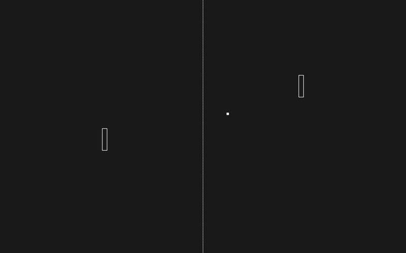 Two Paddles and a Ball