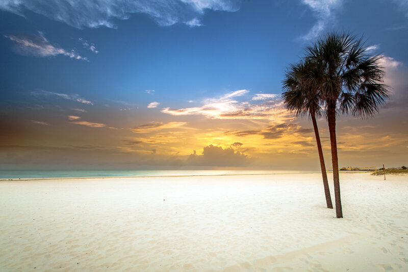 Two Palm Trees on Beach — Blue, Serene, Sunset