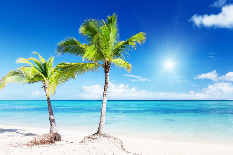 Two Palm Trees on Beach — Blue, Serene