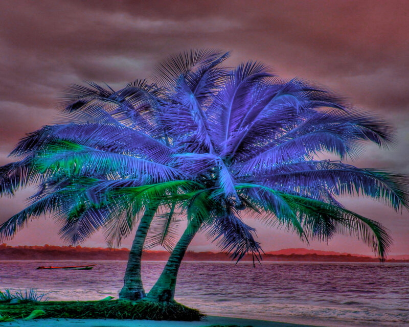 Two Palm Trees on Beach — Purple