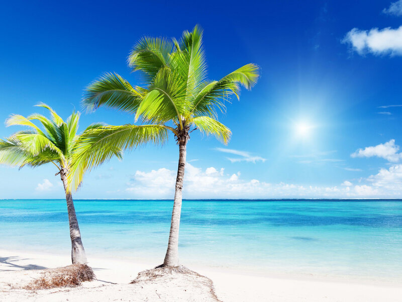 Two Palm Trees on Beach