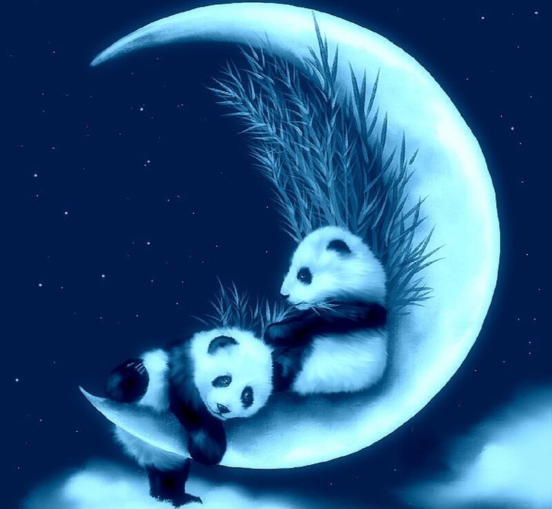 Two Panda Cubs — Blue