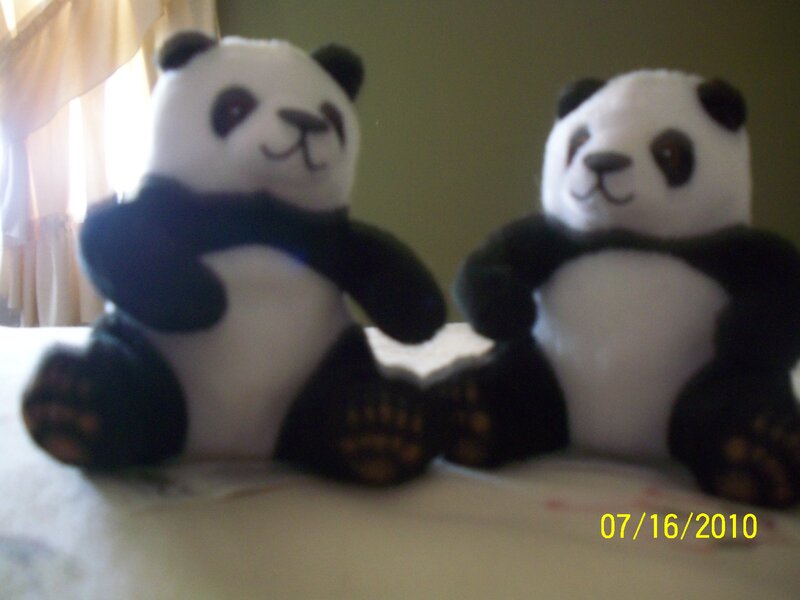 Two panda plush toys