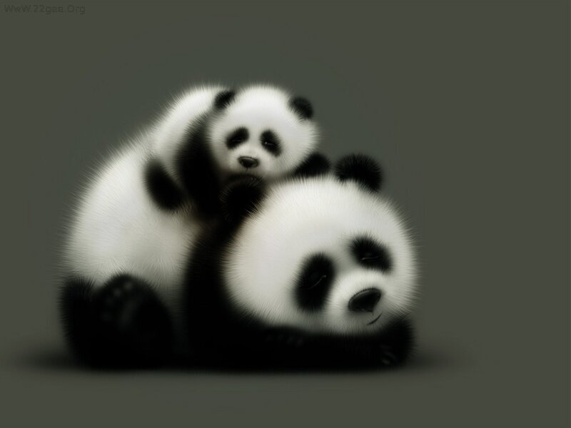 Two Pandas Cuddling — Black, Calm