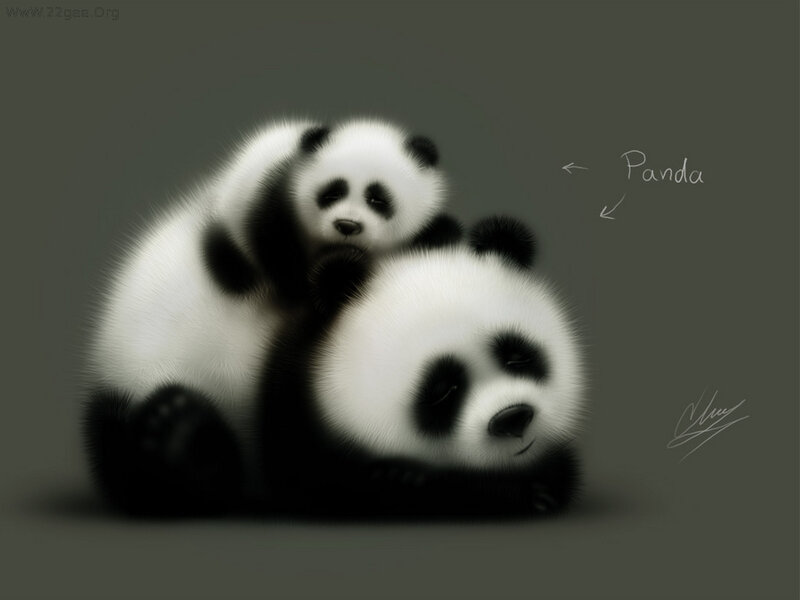 Two Pandas Cuddling — Black