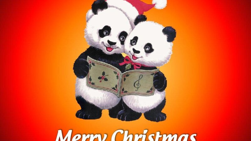 Two Pandas Singing