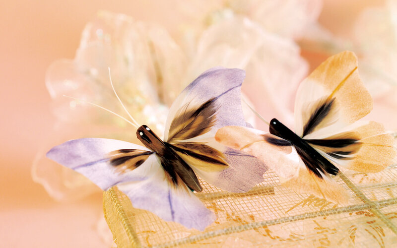 Two Paper Butterflies