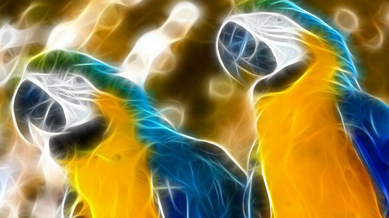 Two Parrots in Motion — Yellow