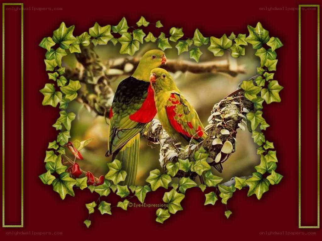 Two parrots on a branch